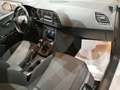 SEAT Leon 5p 1.6 tdi cr Style *NEOPATENTATI* Blanc - thumbnail 15