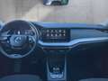 Skoda Octavia Style TDI DSG Grau - thumbnail 14