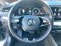 Skoda Octavia Style TDI DSG Grau - thumbnail 10