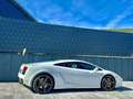 Lamborghini Gallardo V10 E-GEAR-LIFT-EINZELSTÜCK-DEUTSCH Weiß - thumbnail 16
