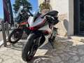 Zontes 703 RR PATENTE A2 - euro 5+ Bianco - thumbnail 5