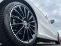 Mercedes-Benz C 220 d Coupe AMG+Pano+R-Kamera+Night+Carplay Blanc - thumbnail 6