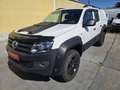 Volkswagen Amarok DoubleCab Entry BMT TDI 4x4 zuschaltbar Weiß - thumbnail 3