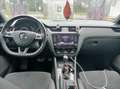 Skoda Octavia Octavia Wagon 2.0 tsi RS 245cv dsg Grigio - thumbnail 6