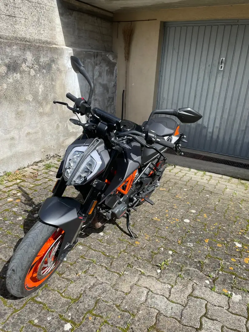 KTM 125 Duke - 2