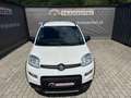 Fiat Panda 4x4 Weiß - thumbnail 7