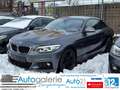 BMW 220 220i M Sport Automatik LED Spurh. Schiebedach Gris - thumbnail 1