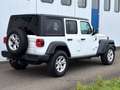 Jeep Wrangler 3.0 Diesel 4x4 UNLIMITED ISLANDER Blanc - thumbnail 9
