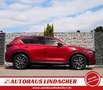 Mazda CX-5 SKYACTIV-D AWD Sports-Line |Leder |Matrix Rot - thumbnail 3