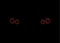 Nissan GT-R 3.8 V6 Black Edition / 1e lak / Bose / Recaro / hi Schwarz - thumbnail 1