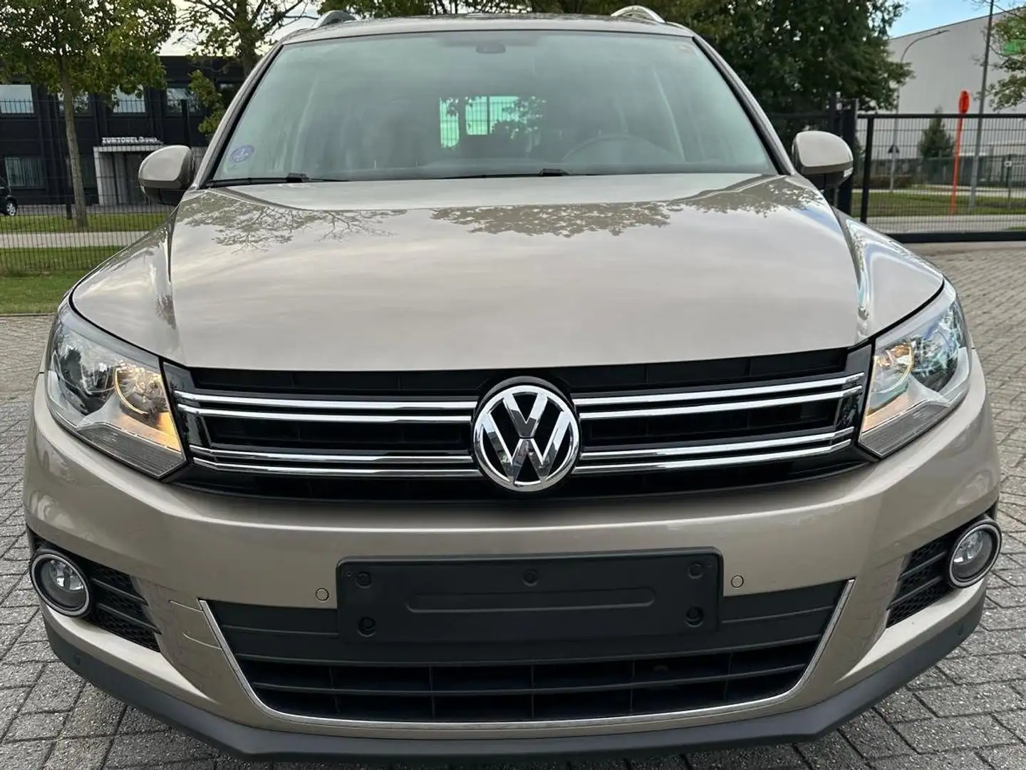 Volkswagen Tiguan 1.4 TSI DSG BlueMotion Technology Sport Beige - 2
