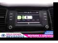 Skoda Kodiaq 1.5 TSI Active 4x2 110kW Gris - thumbnail 17