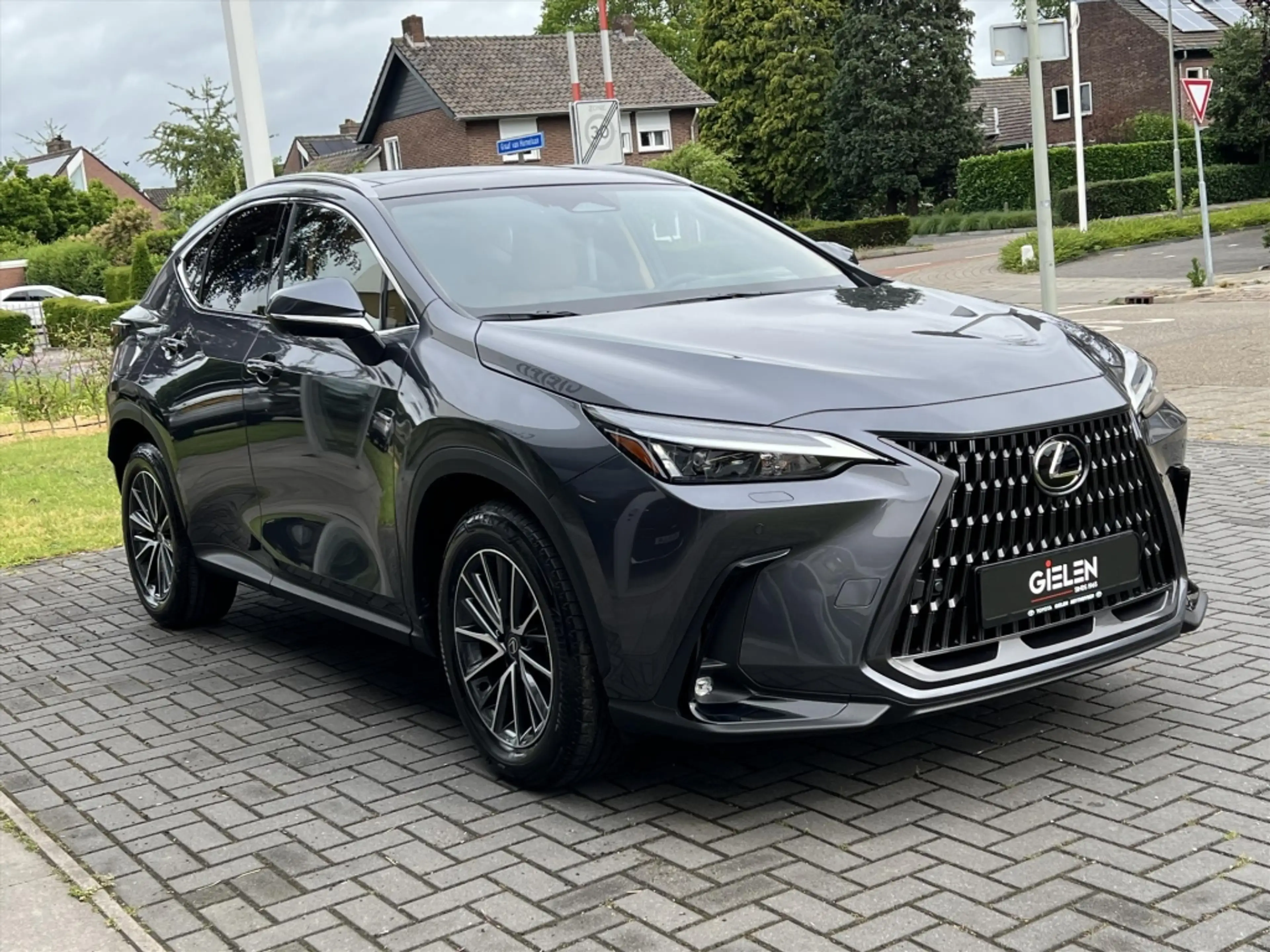 Lexus NX 450h+ Executive Line | Panoramadak, Head up display, 18 — photo 8