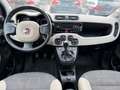Fiat Panda Rock 4x4 *Neu Vorgeführt*Erstbesitz* Weiß - thumbnail 9