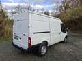 Ford transit 2.2 tdci unico proprietario 130 mila km bijela - thumbnail 2