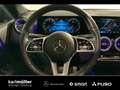 Mercedes-Benz GLB 250 GLB 250 7Sitze +NightP+RfK+LED+el.Heckkl+LED+DAB Zwart - thumbnail 8