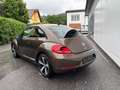 Volkswagen Beetle 1.2 TSI BMT Sky Braun - thumbnail 4