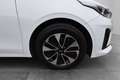 Kia Ceed SW / cee'd SW 1,6 GDI Hybrid PHEV Silber DCT Aut. Weiß - thumbnail 9