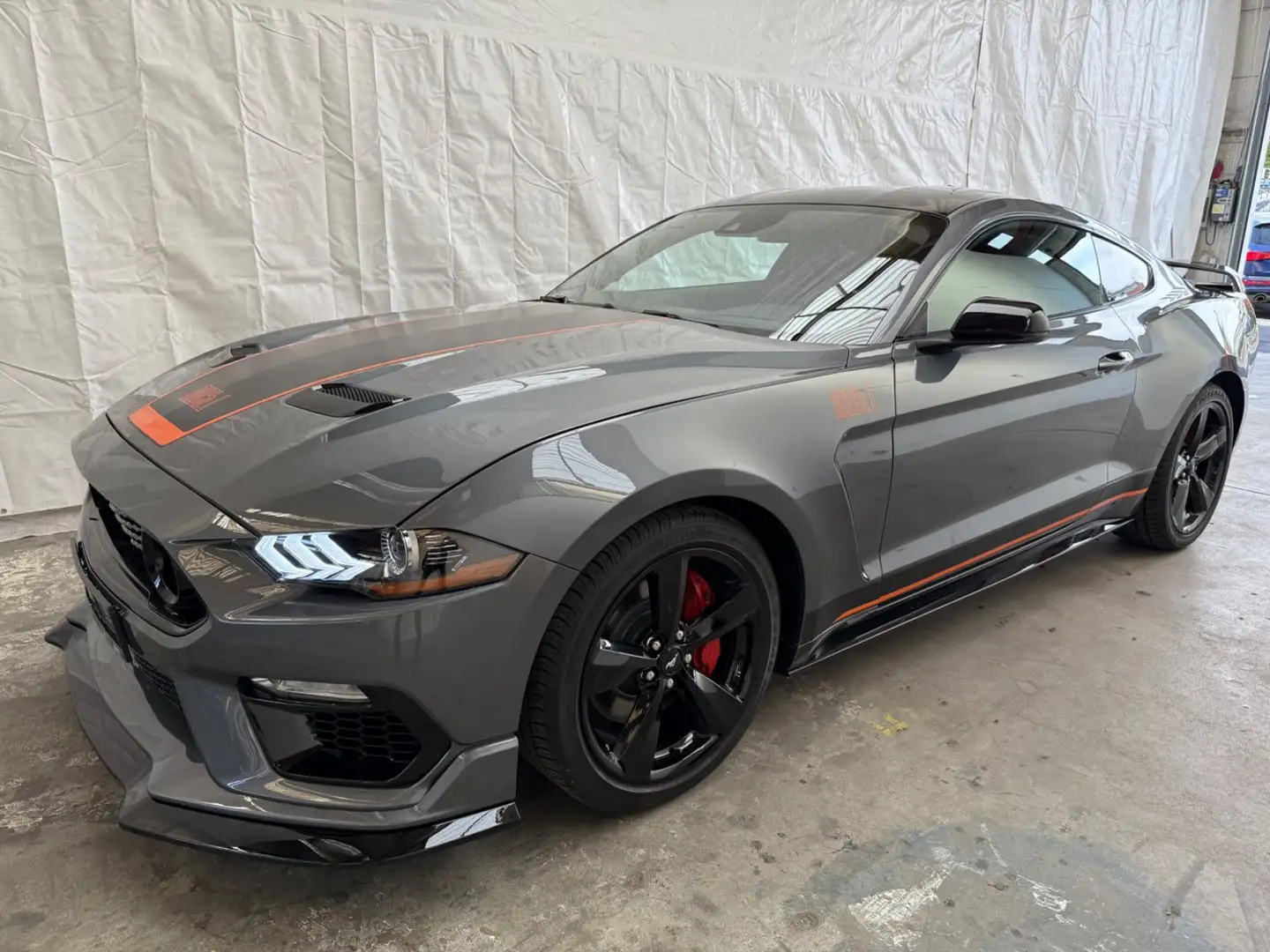 Ford Mustang 2.3 mach 1 Optik CarPlay Leder Kamer Nav Grau - 1