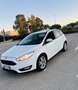 Ford Focus 5p 1.6 Plus Gpl 120cv - thumbnail 2