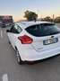 Ford Focus 5p 1.6 Plus Gpl 120cv - thumbnail 4