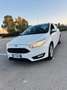 Ford Focus 5p 1.6 Plus Gpl 120cv - thumbnail 1