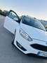 Ford Focus 5p 1.6 Plus Gpl 120cv - thumbnail 12