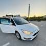 Ford Focus 5p 1.6 Plus Gpl 120cv - thumbnail 6