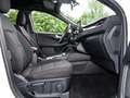 Ford Kuga ST-Line Plug-in-Hybrid ACC+LED+ParkAssist Klima Weiß - thumbnail 4