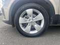 Volvo XC40 2.0 MHEV 163 CV PLUS  DCT7+ Camera - thumbnail 12