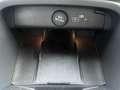 Volvo XC40 2.0 MHEV 163 CV PLUS  DCT7+ Camera - thumbnail 42
