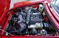 Alfa Romeo Spider 2.0 Fully restored and mechanically rebuilt condit Rood - thumbnail 4