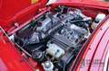 Alfa Romeo Spider 2.0 Fully restored and mechanically rebuilt condit Rood - thumbnail 9