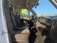 Citroen Jumper 35 140 PM Cassonato Ribaltabile Trilaterale + IVA Wit - thumbnail 18