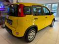 Fiat Panda 1.0 GSE 51kW Mild-Hybrid *City Paket* Jaune - thumbnail 3