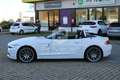 BMW Z4 Z4 sDrive23i Bianco - thumbnail 8