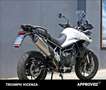 Triumph Tiger 900 GT Pro Abs Bianco - thumbnail 3