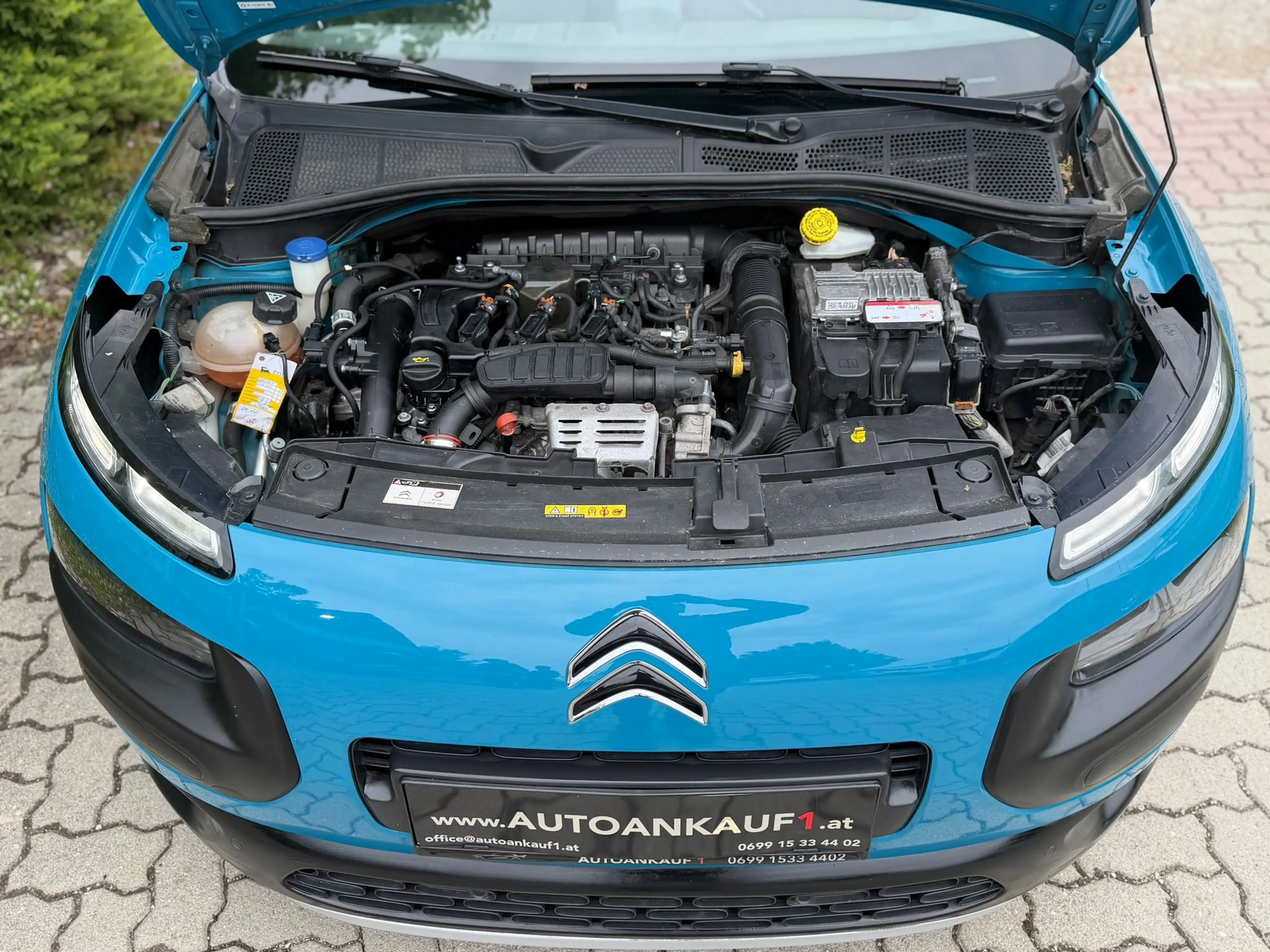 Citroen C4 Cactus C4 Cactus PureTech 110 S — photo 14
