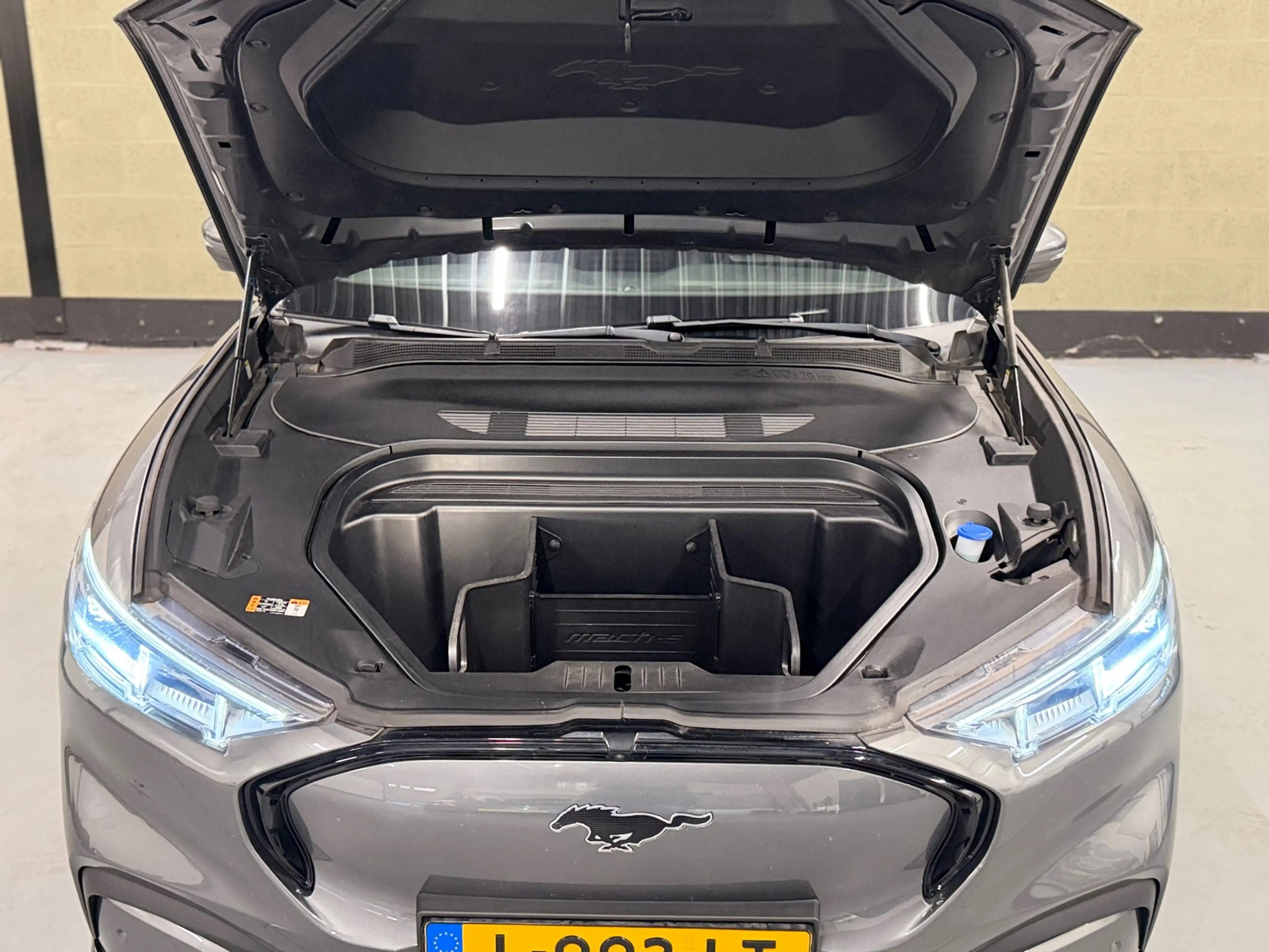 Ford Mustang Mach-E Extended First Edition AWD 98 kWh SOH 95% | 360 CA — photo 44