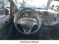 Ford Fiesta Celebration Schwarz - thumbnail 8