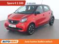 smart forFour 1.0 Basis passion Rot - thumbnail 1