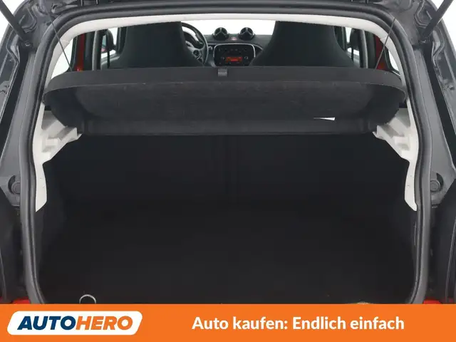Smart Forfour view 17