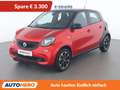 smart forFour 1.0 Basis passion Rot - thumbnail 1