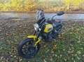 Ducati Scrambler Galben - thumbnail 3