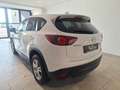 Mazda CX-5 CD150 Attraction Aut. Weiß - thumbnail 7