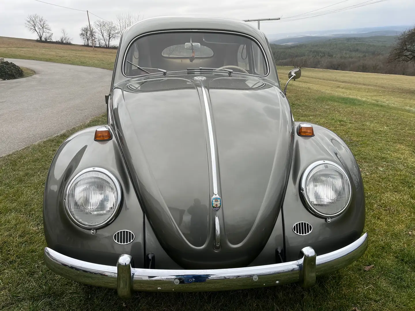 Volkswagen Käfer Typ11 Grau - 1