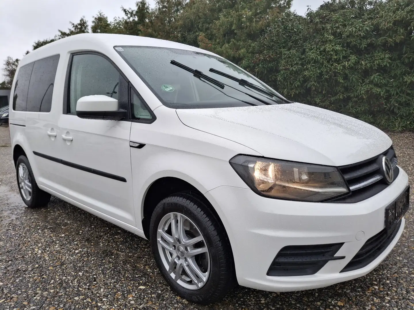 Volkswagen Caddy Caddy Kombi Family 1,4 TSI Family/Mwst ausweisbar! Weiß - 2