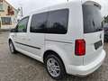 Volkswagen Caddy Caddy Kombi Family 1,4 TSI Family/Mwst ausweisbar! Weiß - thumbnail 5