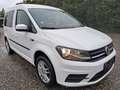 Volkswagen Caddy Caddy Kombi Family 1,4 TSI Family/Mwst ausweisbar! Weiß - thumbnail 3