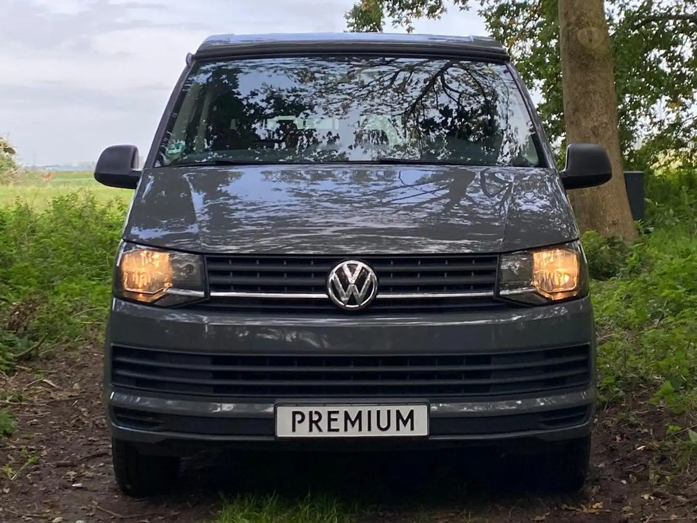 Volkswagen Transporter T6 siva - 1